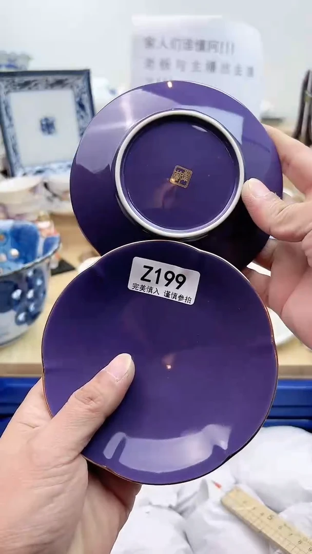 【闪购商品】瓷片199