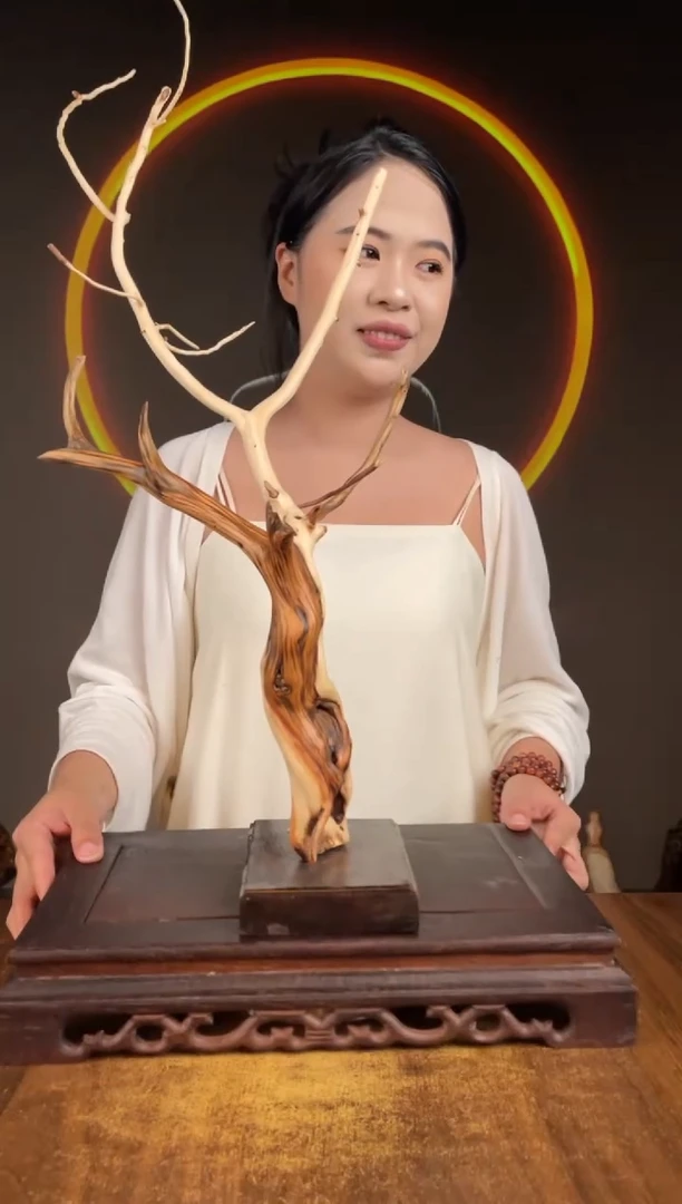 柏木（崖柏）手工摆件,先抢先得! 编号:268