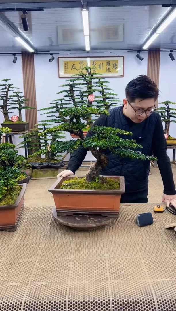 【闪购商品】一物一拍，所见即所得