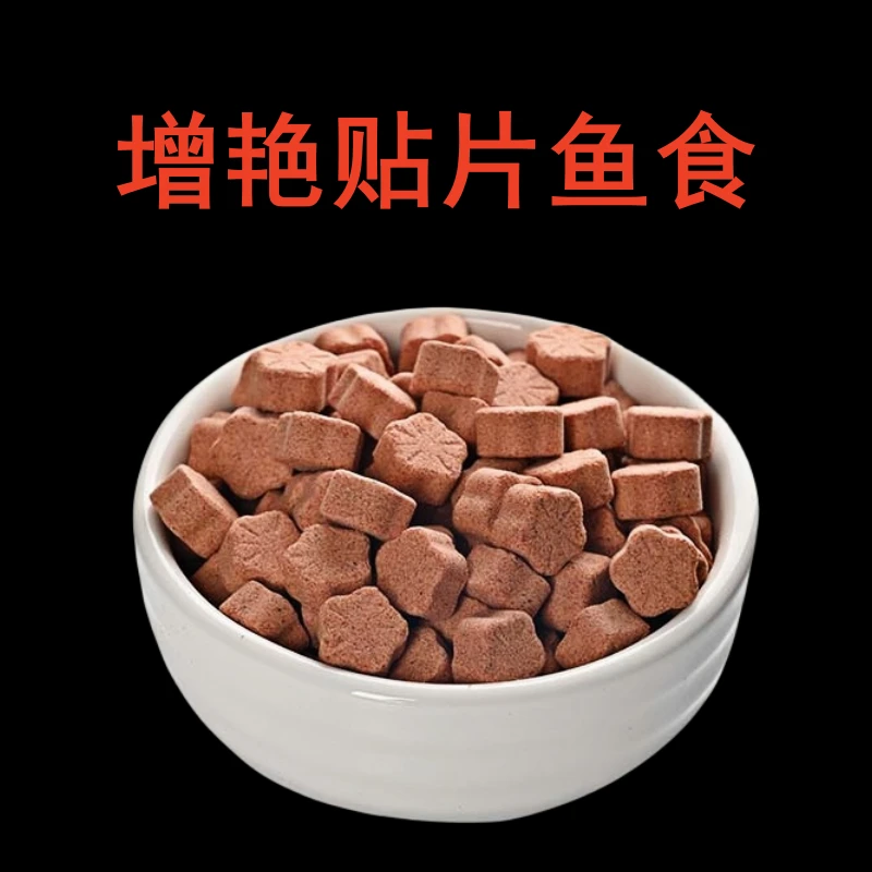 丰年虾贴片鱼食小型热带鱼饲料孔雀鱼黑尾大勾燕鱼慈鲷高蛋白龟粮
