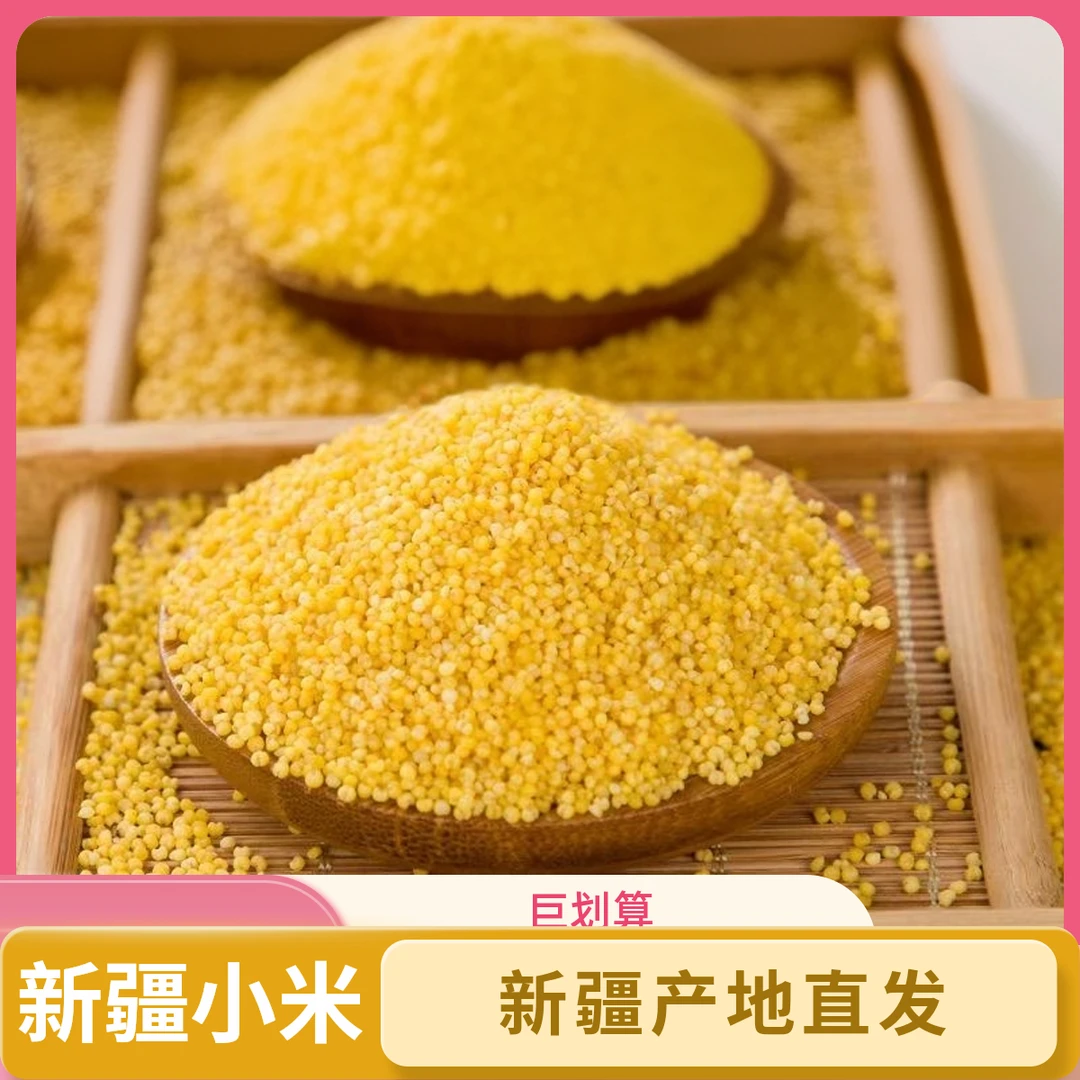 新疆现磨黄小米新米农家种植熬粥米油丰富优质五谷杂粮