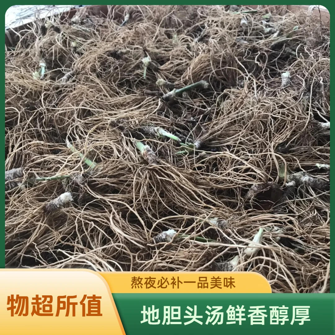 晒干【地胆头】煲老鸭一流 熬夜必喝