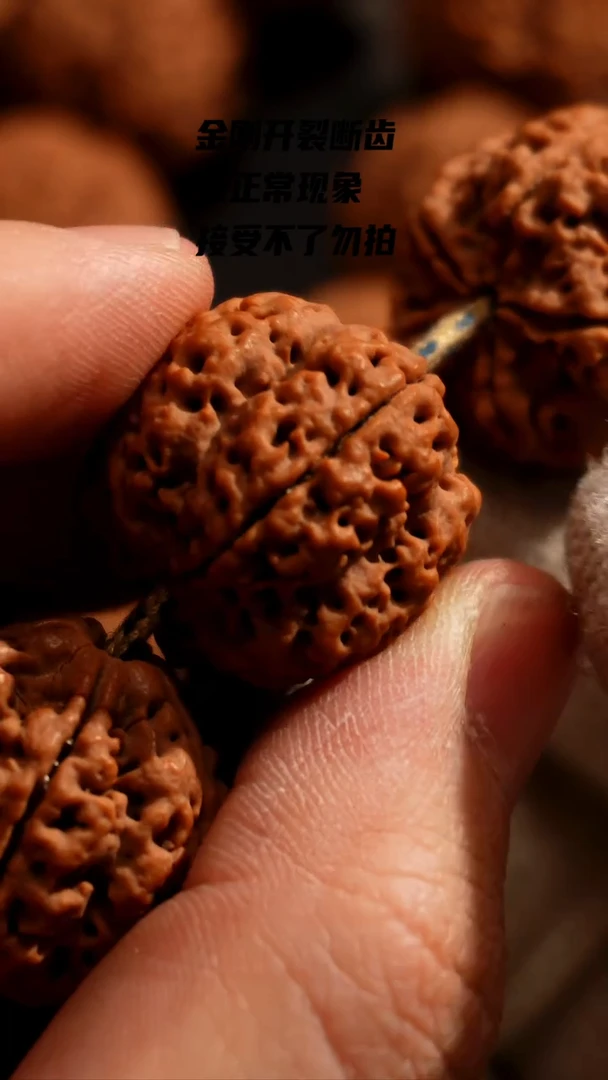 【闪购商品】金刚菩提手串赤梅23