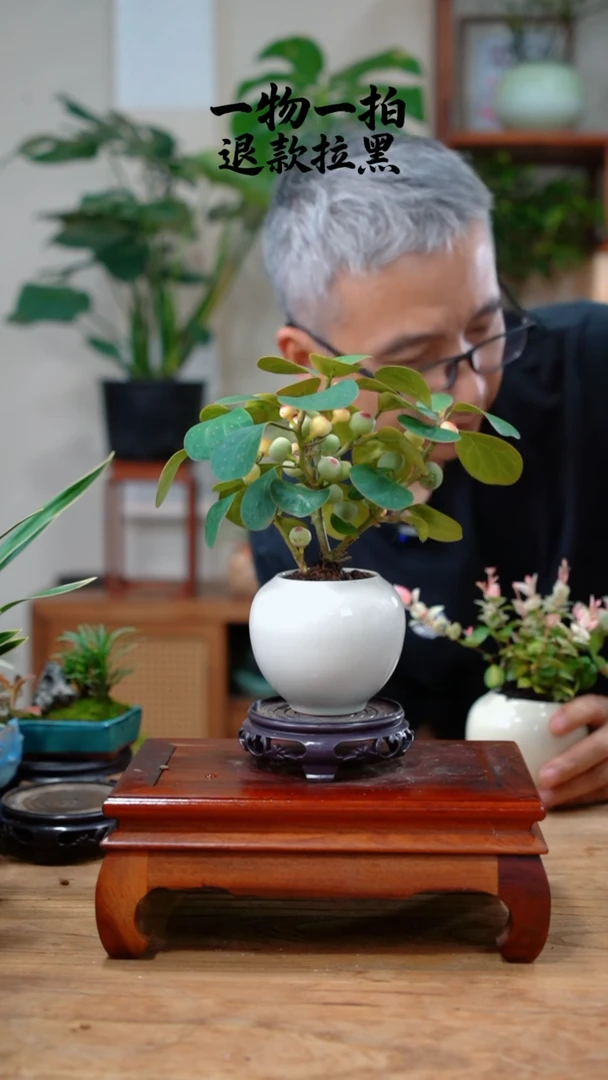 完全开放M****1菩提284