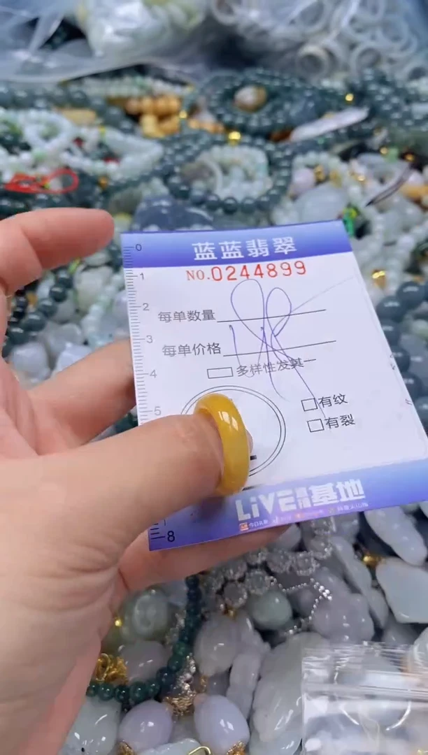 翡翠未镶嵌颈饰闪购0244899