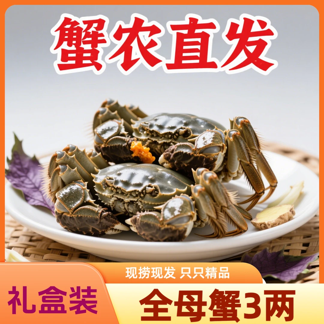 赵小农【活蟹】苏州大闸蟹鲜活螃蟹全母蟹10只3.0两礼盒装顺丰包邮
