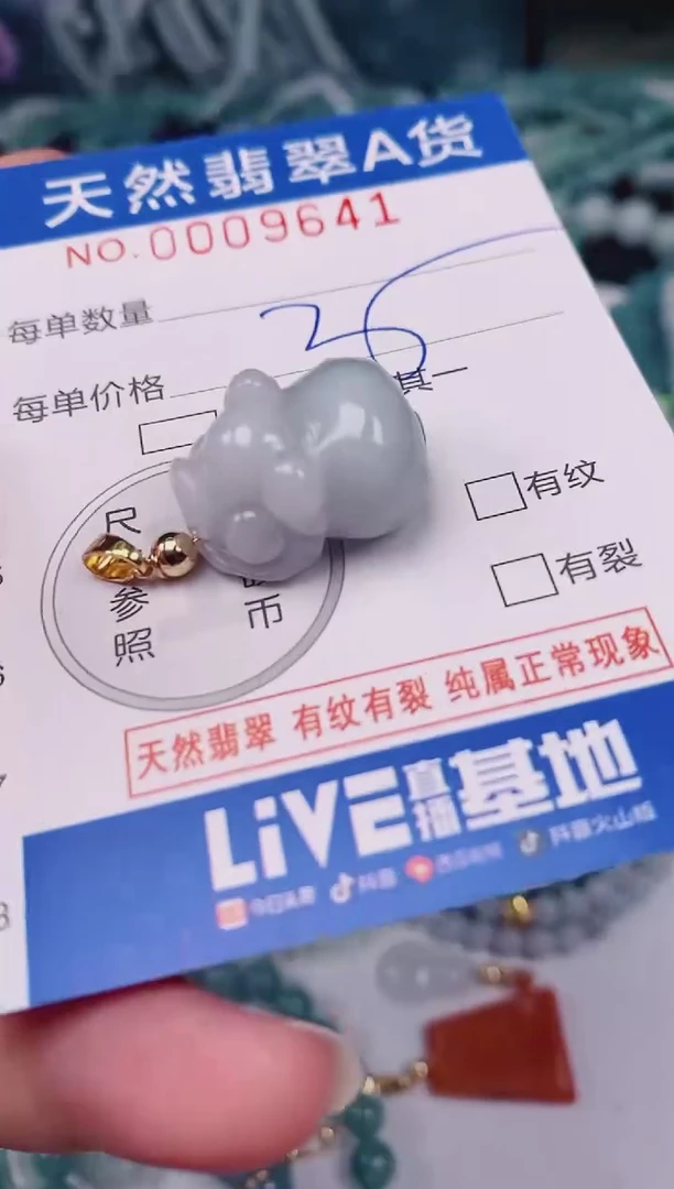 颈饰未镶嵌翡翠00009641