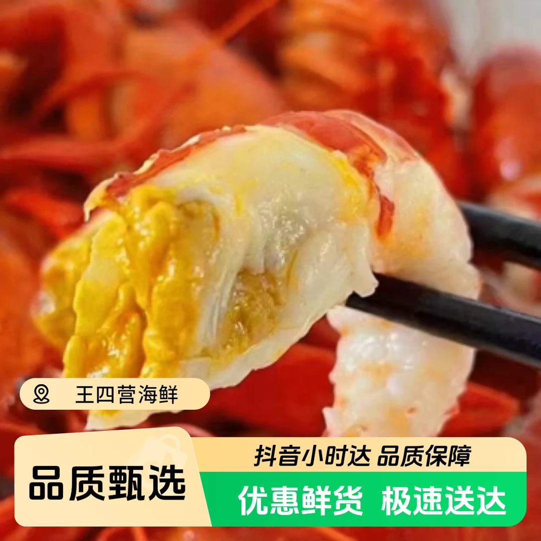 鲜虾尾龙虾尾 3斤
