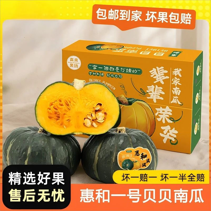 贝贝南瓜 山东惠和一号  4.5斤 细腻甜糯香甜 产地直发