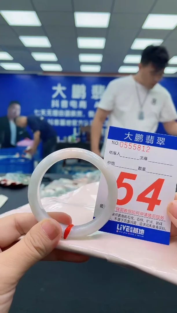 未镶嵌手镯翡翠AAAAAAAAA