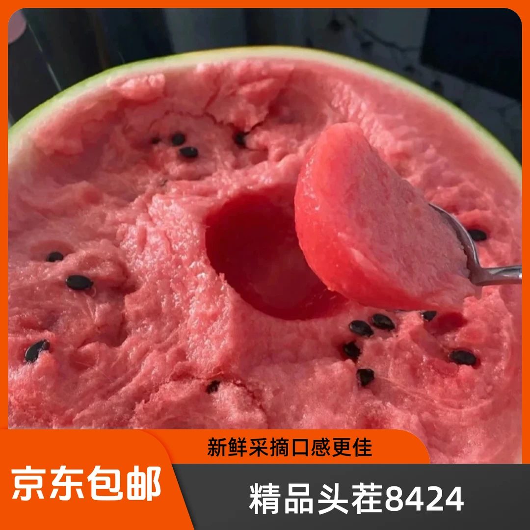 精品头茬8424西瓜新鲜采摘夏日福利上海市