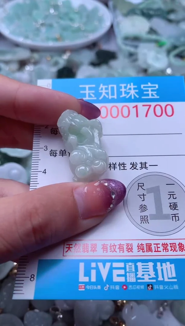翡翠未镶嵌吊坠(不含链)1700