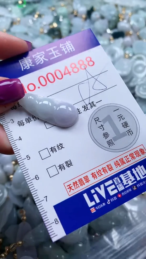 颈饰未镶嵌翡翠4888