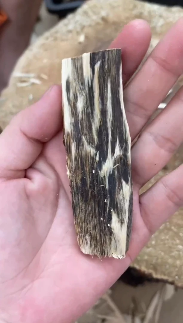 沉香碎屑沉香棋楠沉香 原料文创1