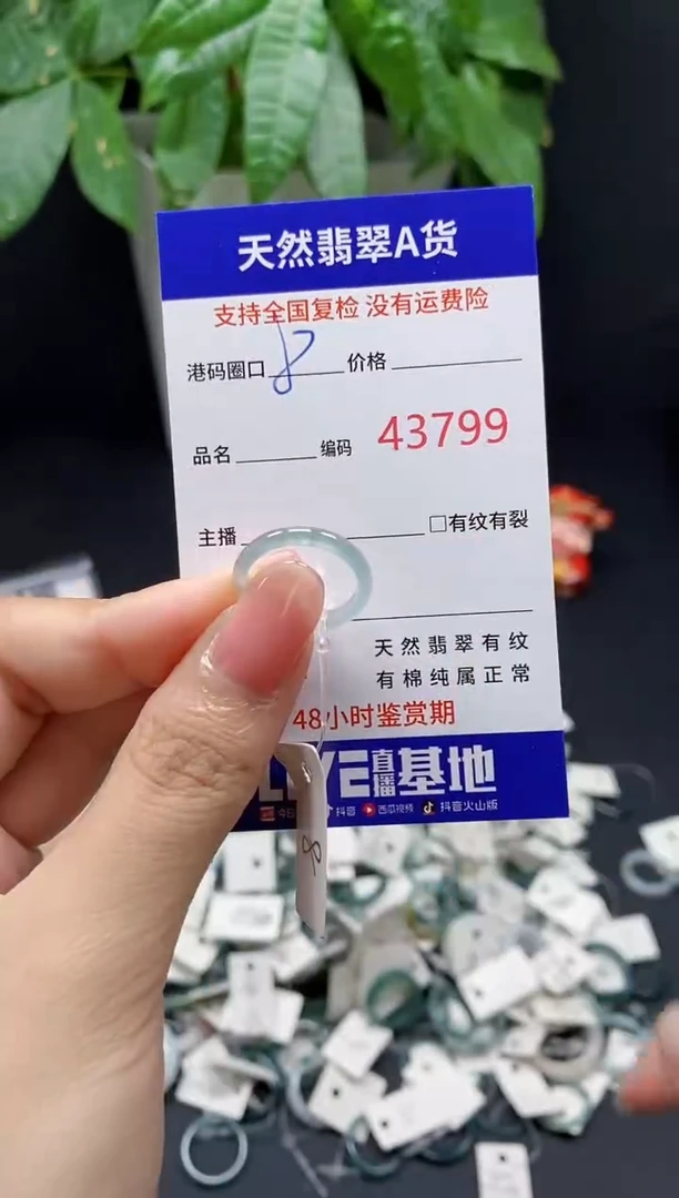 翡翠戒指未镶嵌 天然翡翠戒圈3799
