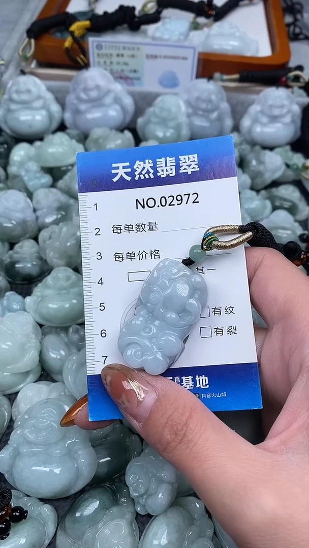 颈饰未镶嵌翡翠纯天然A货翡翠2972