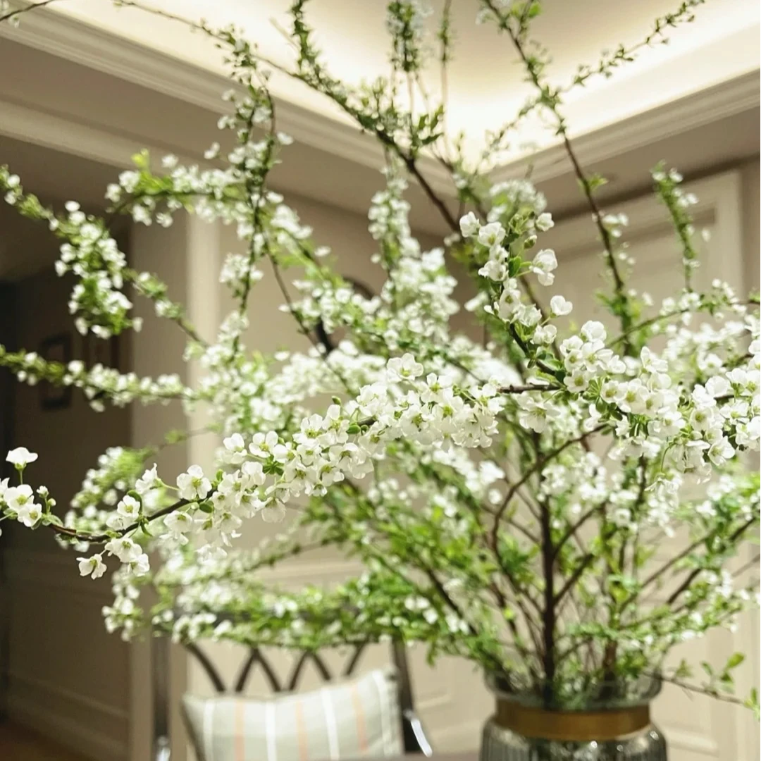 【源头优选】高品质雪柳1扎1-1.2米 单独包邮发货 发货后不支持退款