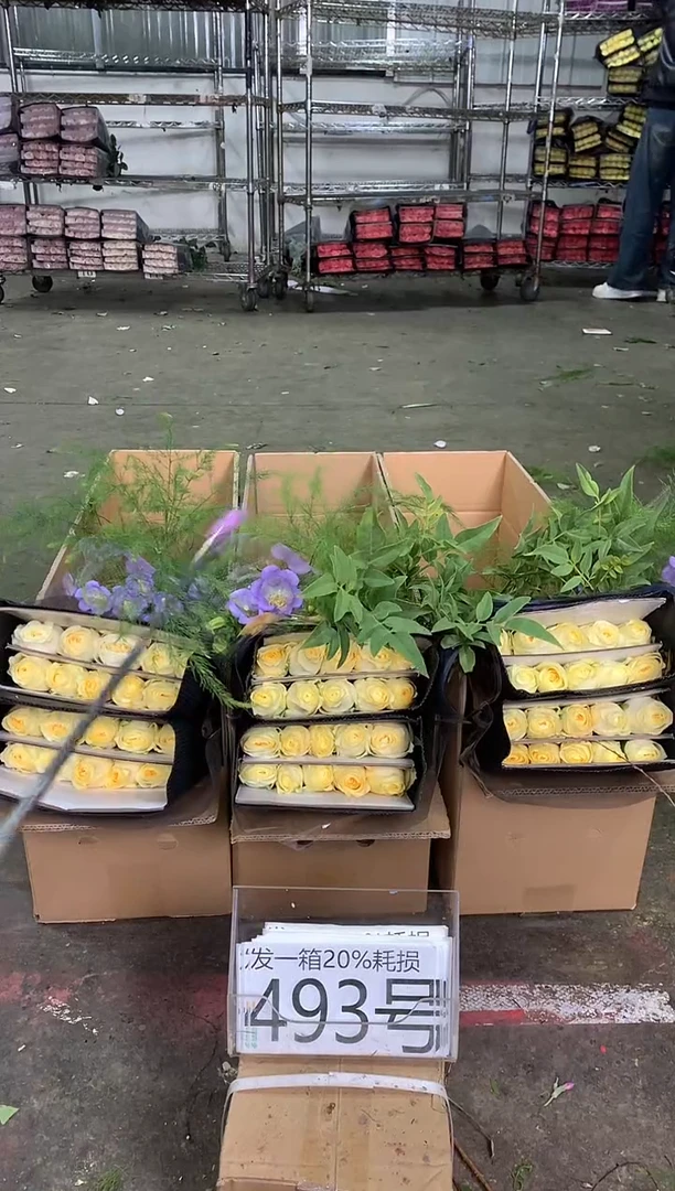 493号♥中通含20%耗损发一箱鲜花