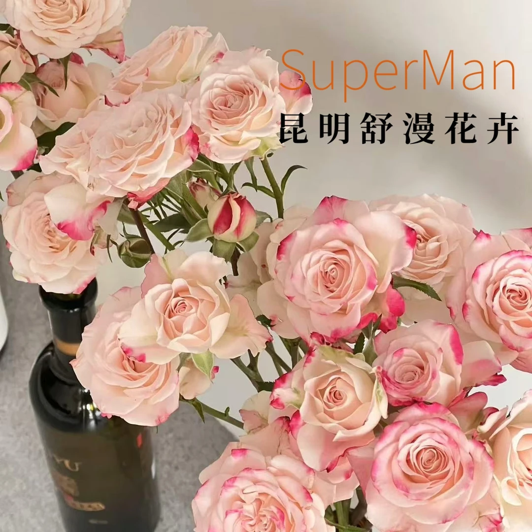 折射多头玫瑰泡泡云南直发鲜花室内水养真花用于居家装饰