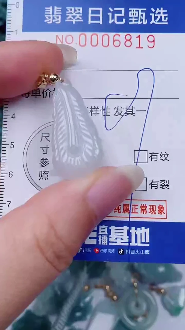 翡翠未镶嵌颈饰00006819