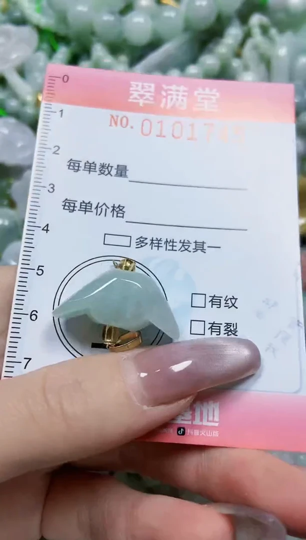 【闪购商品】翡翠颈饰未镶嵌闪购0101745