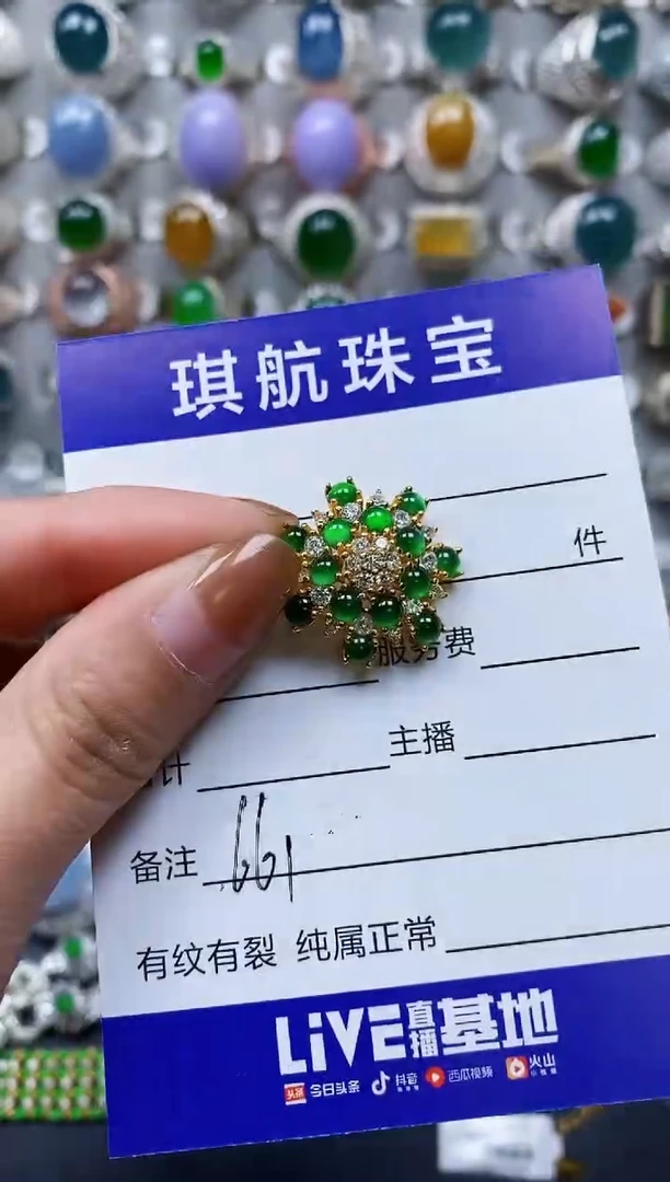【闪购商品】翡翠颈饰银S925镶嵌0661