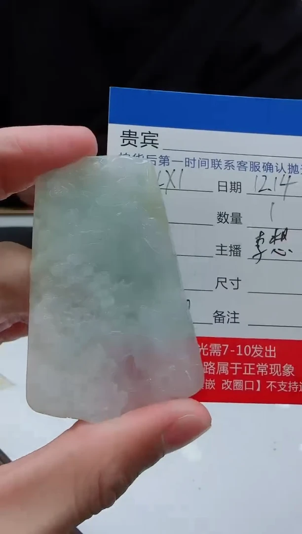 未镶嵌定制翡翠LX1翡翠吊坠-多样性发其一