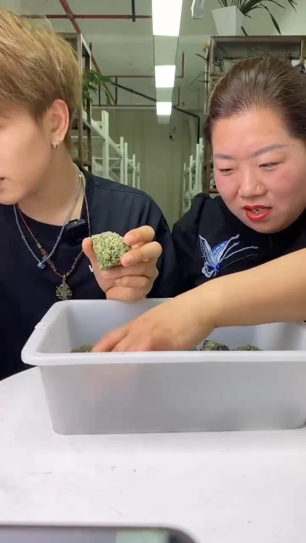 原石未镶嵌橄榄石橄榄石原石D09多样性发其一100+