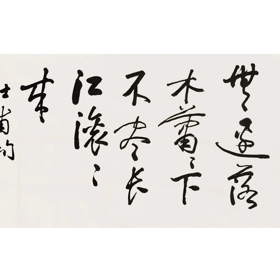 【辽拍】V240401-1-03《书法》（8.8平尺)  纸本镜心  zw112