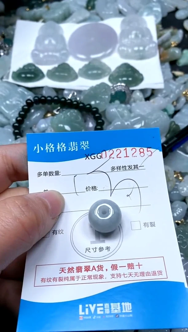 【闪购商品】翡翠颈饰未镶嵌闪购商品0221285