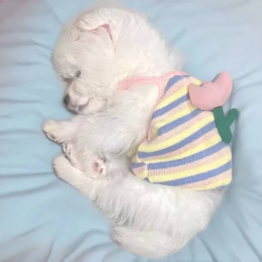 狗狗衣服薄款夏季花朵吊带比熊泰迪博美宠物小狗幼猫可爱防掉毛