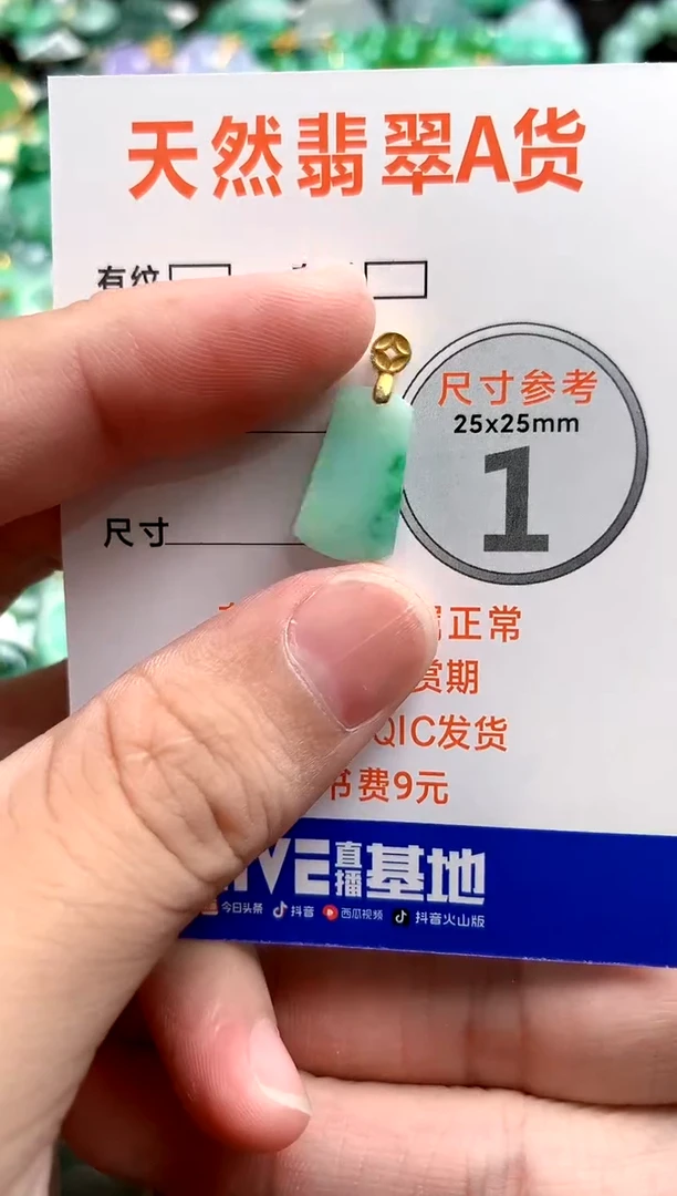 颈饰未镶嵌翡翠24000477
