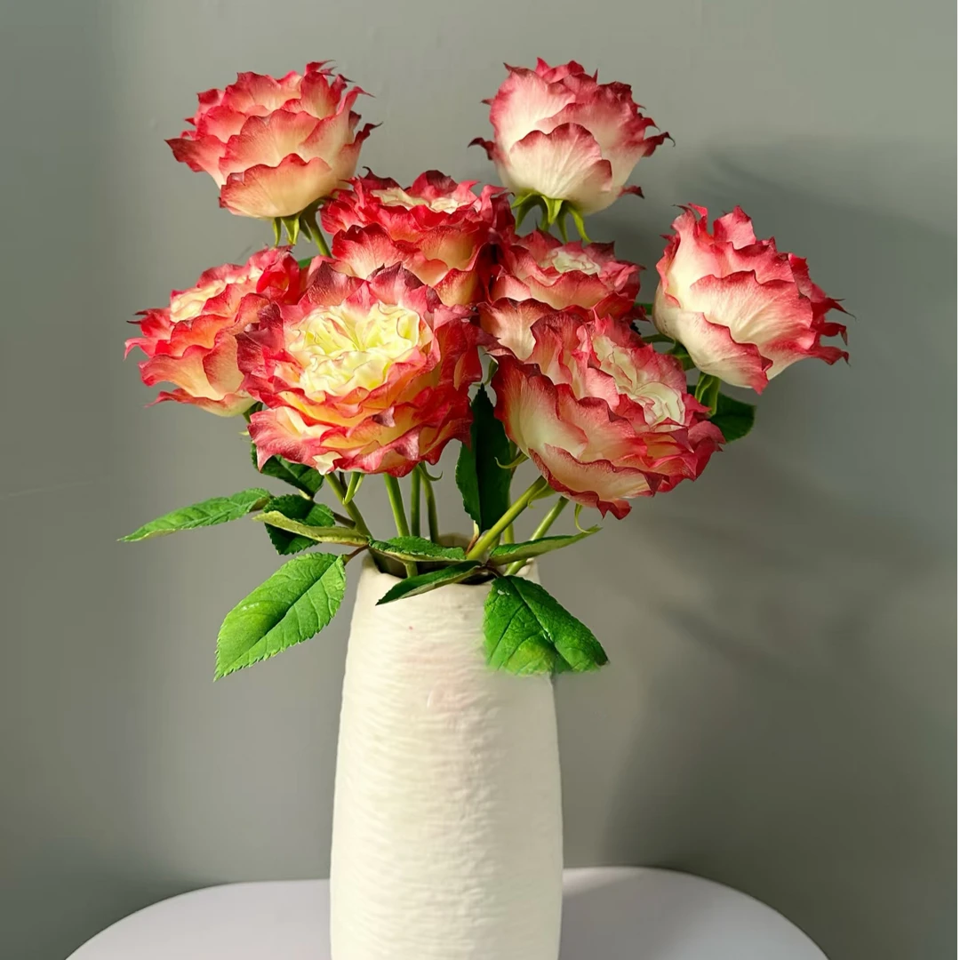 【苹果杰克】单头玫瑰（全场同一地址两单顺丰冷链包邮噢~）