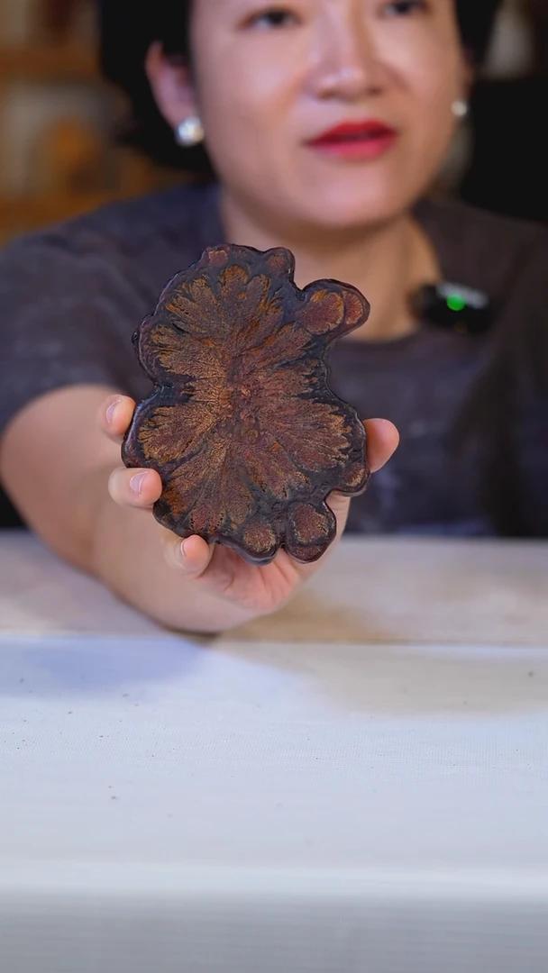 香樟木九龙藤5312