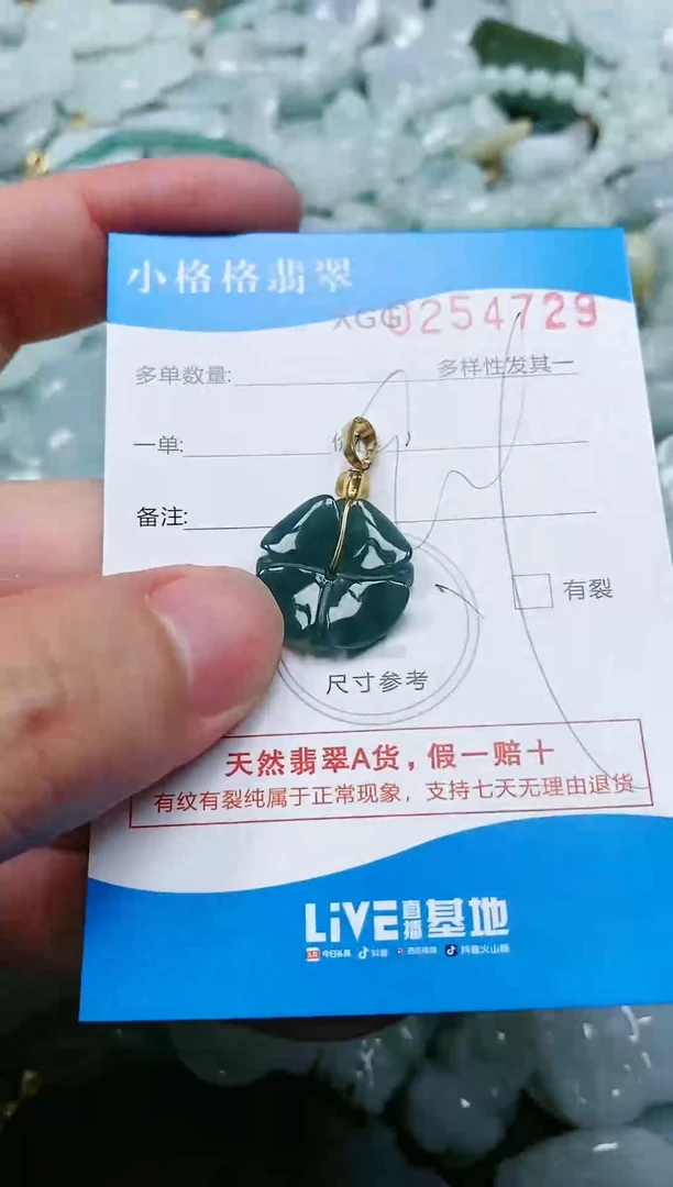 翡翠未镶嵌颈饰闪购商品0254729