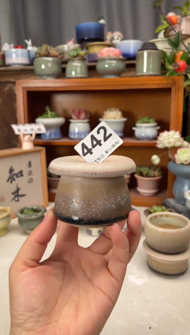 瓷片j**h442知木小芳花盆