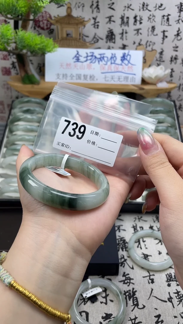 石英质玉（天山翠）手镯未镶嵌739
