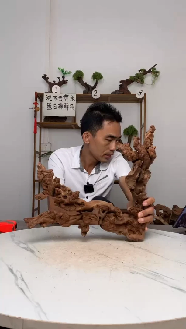 鱼缸造景沉木摆件闪购