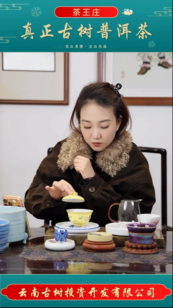 2024年鸡嘴壳古树普洱生茶100克