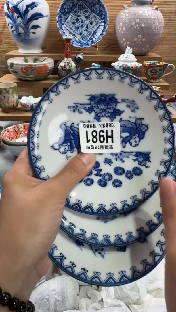 瓷片兰*       H981