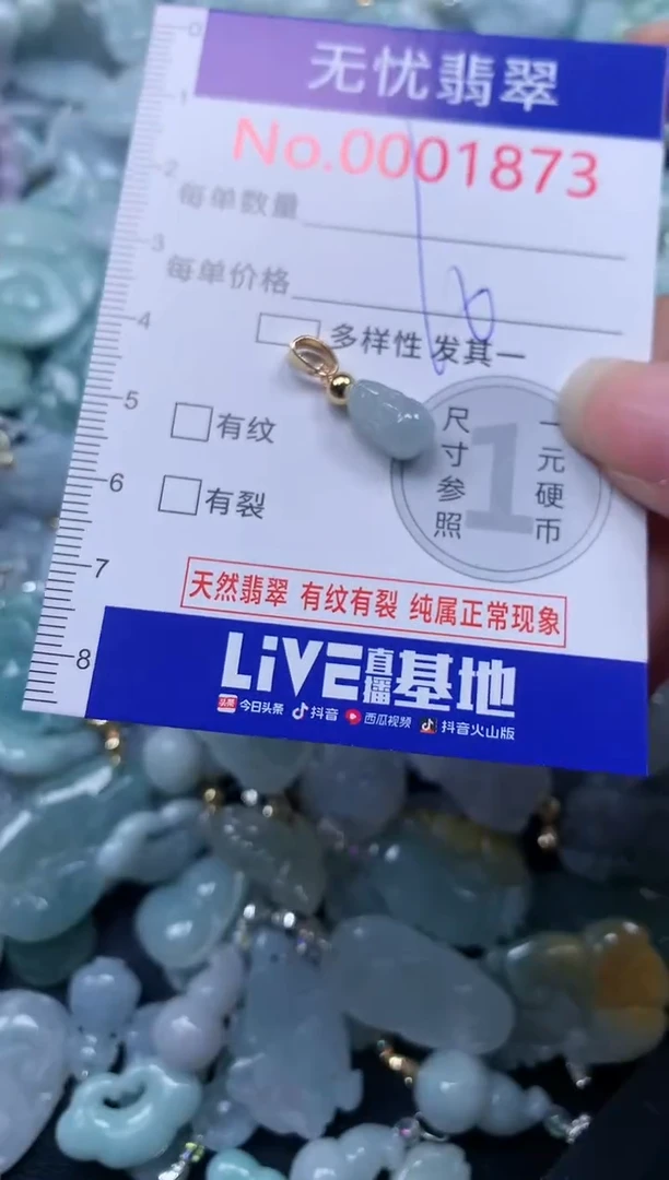 颈饰未镶嵌翡翠1873