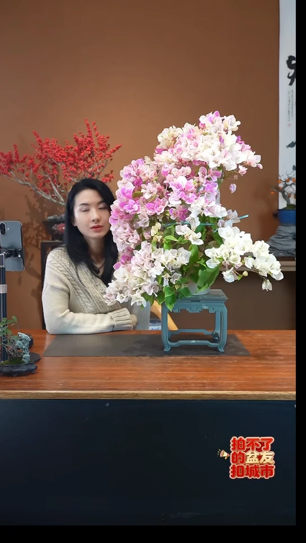 全部花朵百变花蝴蝶盆景盆景盆景