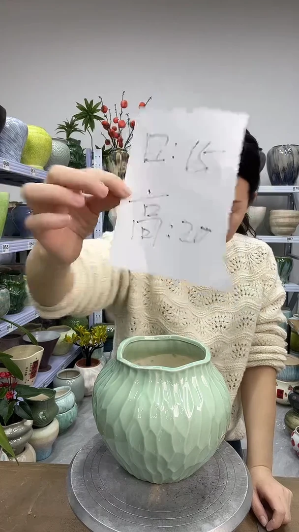 11.27陶瓷花盆直播链接高.   20  口15
