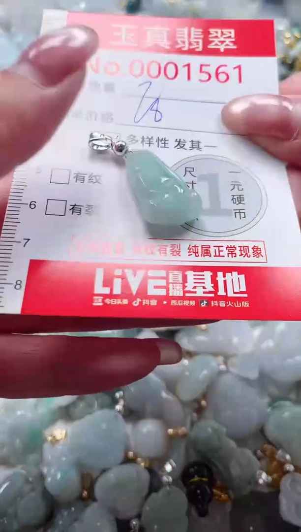 吊坠(不含链)未镶嵌翡翠1561