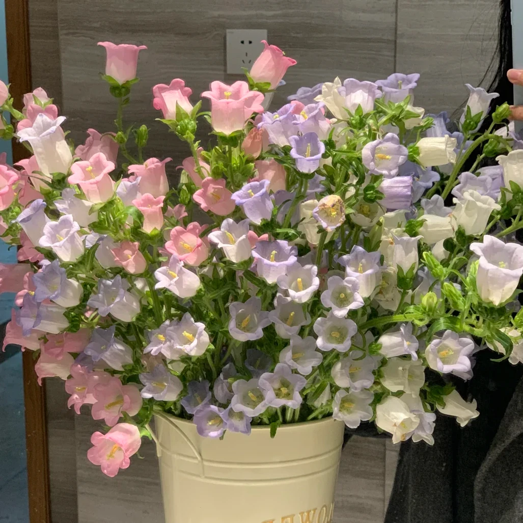 【风铃AK】精品随机色风铃1把基地直发 |全场任意满两单鲜花包邮