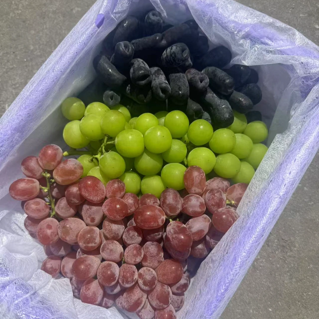 三色葡萄 新货到 阳光玫瑰+金手指+克伦生 不同风味，新鲜好吃新疆维吾尔自治区