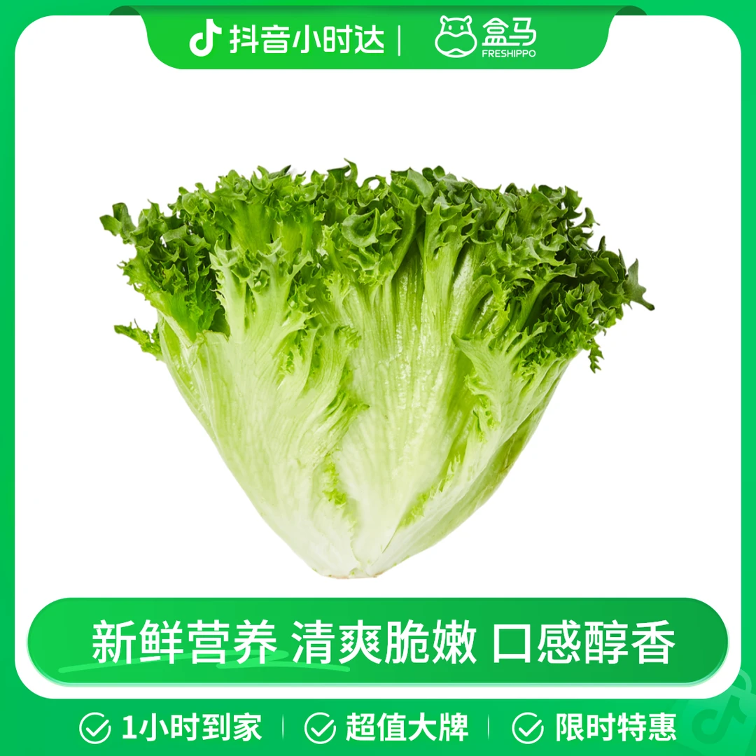 盒马日日鲜 水培散叶生菜 300g/份