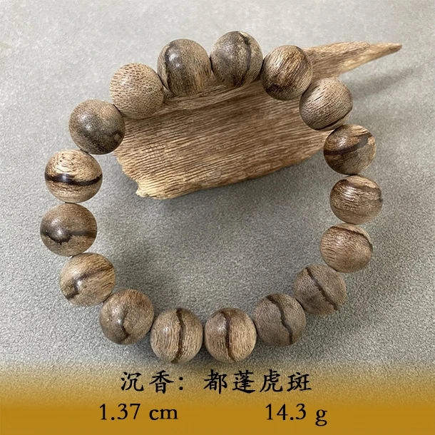 LSWIS天然野都蓬虎斑A805