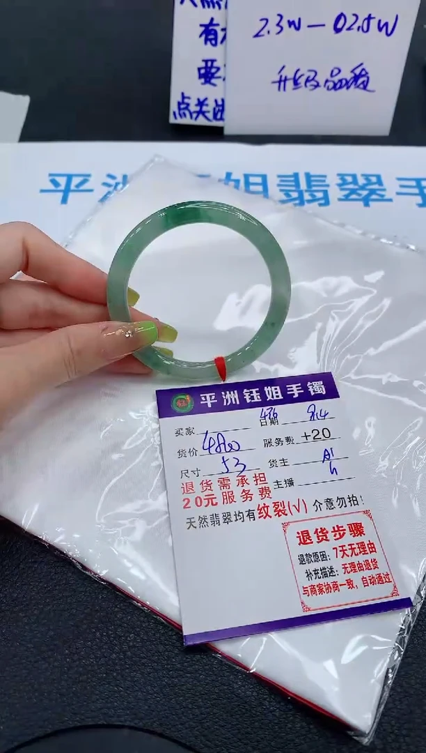 未镶嵌手镯翡翠1