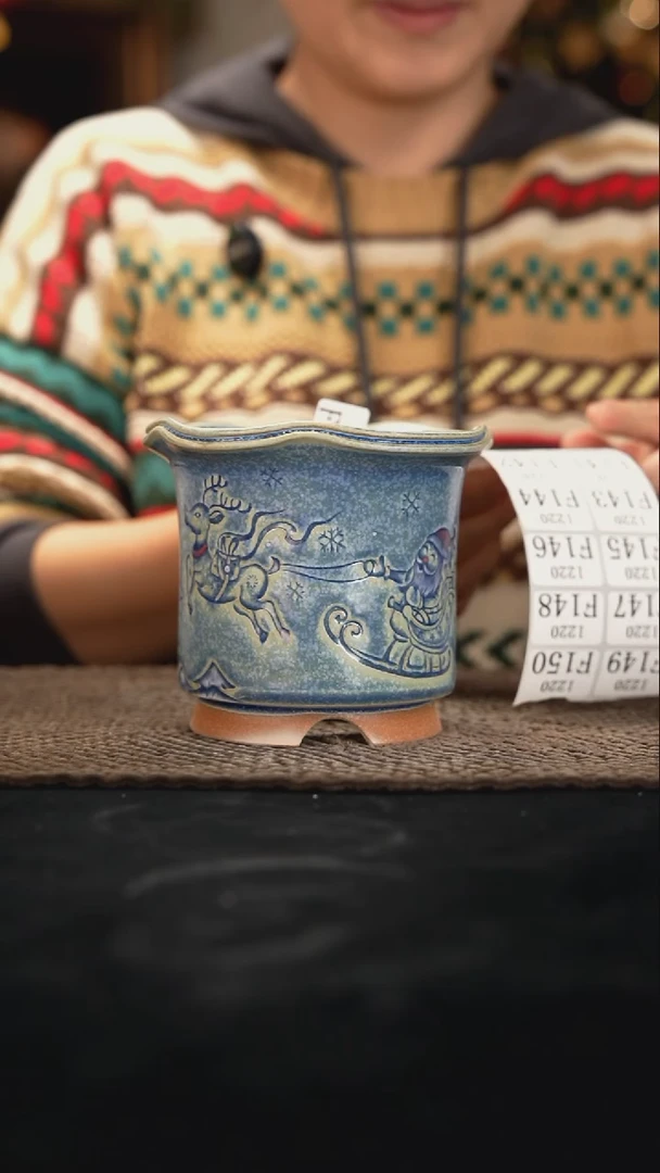 口径9花盆12-20-136